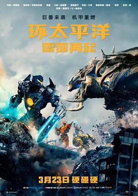 雾港回声电影封面